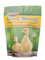 Duck Boost