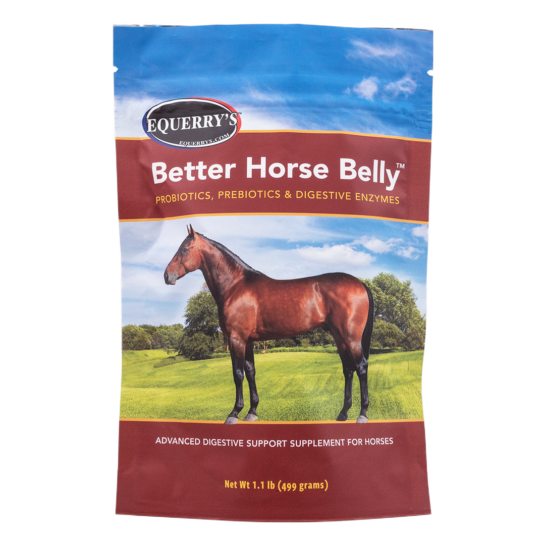 Better Horse Belly – Animal Health Solutions Inc