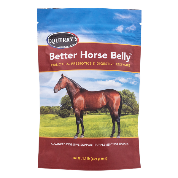 Better Horse Belly