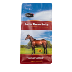 Better Horse Belly